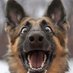 lode (@felix1982ferro) Twitter profile photo lode (@felix1982ferro) Twitter profile photo