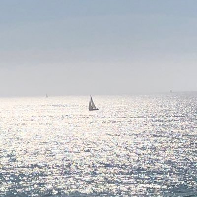 Drpconstantino's profile picture. Old, bold and solid gold! ☘️🇺🇦 views are my own