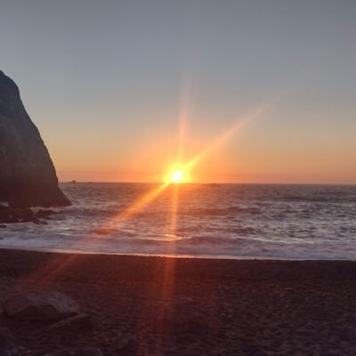 StrongLnguage's profile picture. 