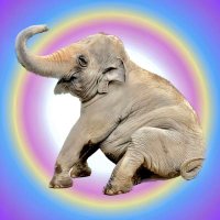 fuumin (@fmhdicmr) 's Twitter Profile Photo