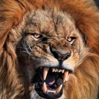 You will face many defeats in life, but never let yourself be defeated 🇳🇬