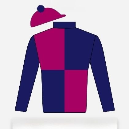 vantagediane's profile picture. Don't Blame Me Racing, LLC. Bel Cavallo Farm.  Thoroughbred Breeder. Equestrian. Novice Polo Player. Polo, Racing & Equine Enthusiast. Cal-Bred.