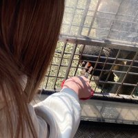 ゆうな (@waruikodesita11) Twitter profile photo