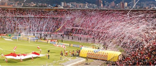 nasua17's profile picture. 