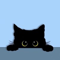 sha (@sooscha) 's Twitter Profile