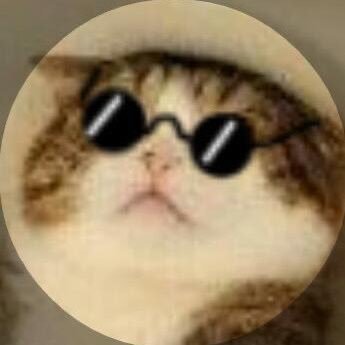 dismopho's profile picture. 