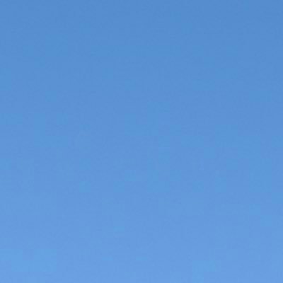 sususudhdh's profile picture. .