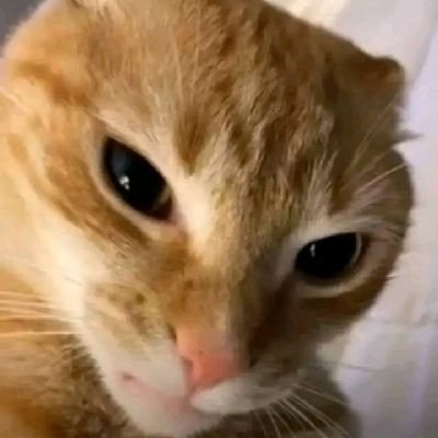ErNesTさんのプロフィール画像