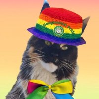 Geisha 🐾 + angels Blue🌈 and Harry🌈 (@islandlyn) 's Twitter Profile Photo Geisha 🐾 + angels Blue🌈 and Harry🌈 (@islandlyn) 's Twitter Profile Photo