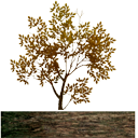 NExcludedstylis's profile picture. A hair stylist who excludes nothing to allow fashion to keep growing