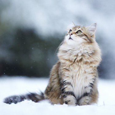 y1582's profile picture. Hyphen21年目の亀梨担/92年組/Tokyo/🐢🩷/⛄️🖤🤍/🕰️🩵🤍/ 👶🛼💙/Bruno Mars/BRADIO💙/IDLMs/Dua Lipa ❤︎…140104-141011-160126-170107-170830-180930-220416-221121-230521-…