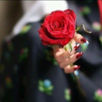 أم عبدالله (@om___abdullah2) 's Twitter Profile Photo