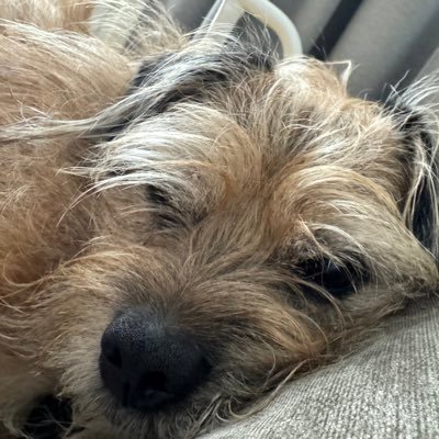 BenjaminWa31457's profile picture. 