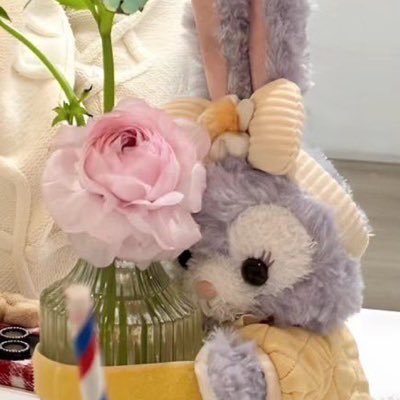 済 ⇒ 鼻、脂肪吸引、脂肪移植、目尻切開、タレ目形成、歯科矯正中 | やりたい⇒人中短縮、ミニ切開リフト | 情報収集・記録用