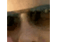 tythecoinspy's profile image