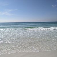 Bob (@bob799456) 's Twitter Profile