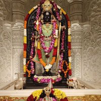 Suditya Singh (@sudityas) 's Twitter Profile