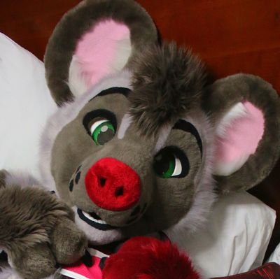 28~M~Bi~
Suit by @GoFurItstudios
Aerospace & amateur 📸 😺/💍: @JustANekko