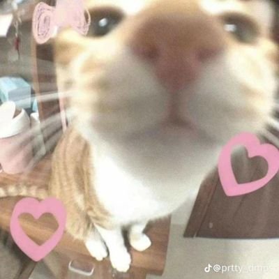 walatoghostlang's profile picture. dump