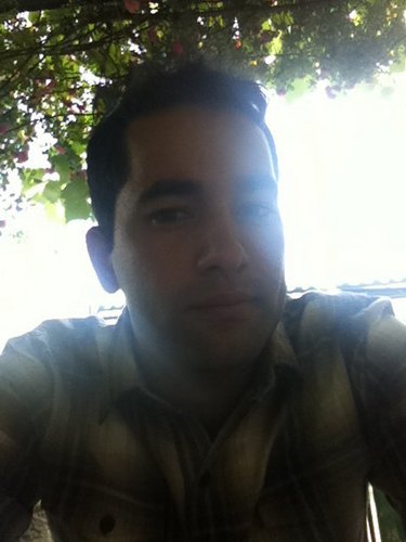 ArmeniaF1's profile picture. 