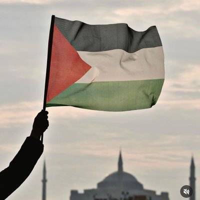 omanggabotak's profile picture. 