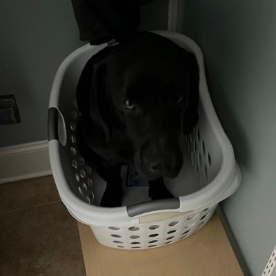 ChaseMendygral's profile picture. NBA enthusiast