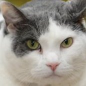 Jumbotronys's profile picture. 