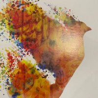 seham (@sehamosman8) Twitter profile photo