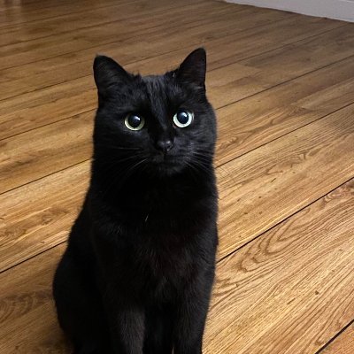 naynae123456's profile picture. Investor