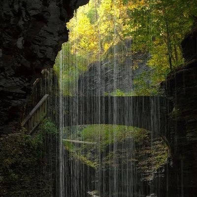 EdaoBurtuk69376's profile picture. It is not late to succeed