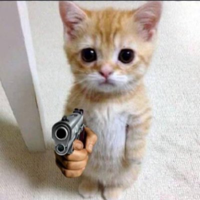 bookmarking_'s profile picture. @bcci_x
