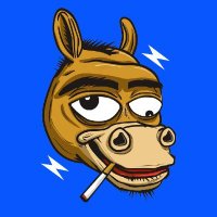 $Donke (@_donke_sol) 's Twitter Profile