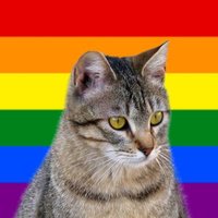 sam pocino is online (@sampocino) 's Twitter Profile Photo sam pocino is online (@sampocino) 's Twitter Profile Photo