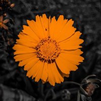 Sokobae ❤️ (@salloant) 's Twitter Profile Photo