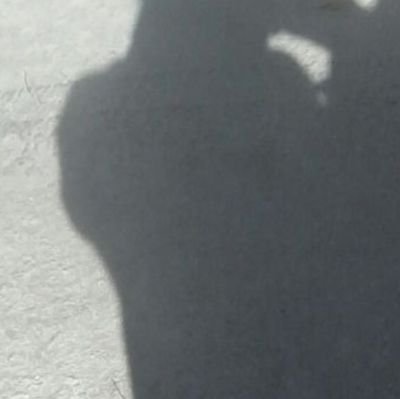 olafさんのプロフィール画像