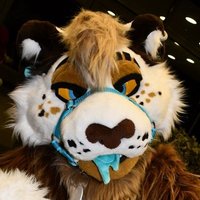 🔞Xander🔞 (@thatlionthingad) 's Twitter Profile
