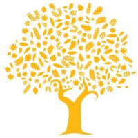 CISD SOAS (@soas_cisd_) 's Twitter Profile
