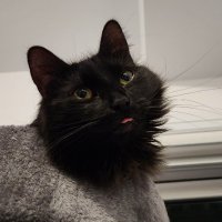 Yelsew (@jennyroxxxx) 's Twitter Profile