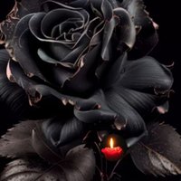 Natur-Fan (@naturweltfan) Twitter profile photo