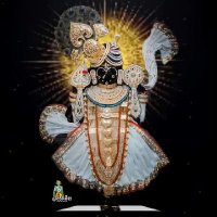 Pinal Modi (@pinalmodi14) 's Twitter Profile