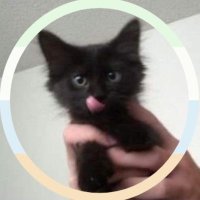 𐙚Emoִֶָ𓂃 ࣪˖ ִֶָ🐇་༘࿐ (@emos_meoww) 's Twitter Profile Photo 𐙚Emoִֶָ𓂃 ࣪˖ ִֶָ🐇་༘࿐ (@emos_meoww) 's Twitter Profile Photo
