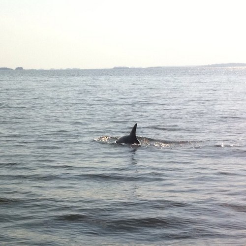 bertrand_brian's profile picture. 