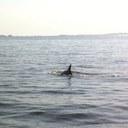 brian bertrand - @bertrand_brian - Twitter