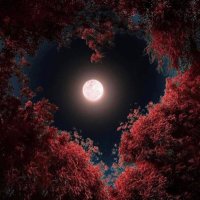 Albhaaa (@albhaa12) 's Twitter Profile