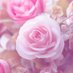 Rose Y (@rosey168726) Twitter profile photo Rose Y (@rosey168726) Twitter profile photo