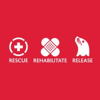 VA Marine Mammal Rescue Society (@vammrs) 's Twitter Profile Photo VA Marine Mammal Rescue Society (@vammrs) 's Twitter Profile Photo