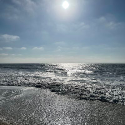 ilgattino7's profile picture. 