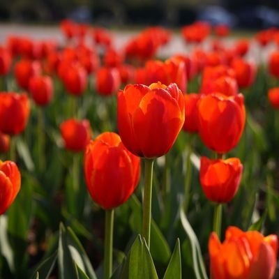 CryptoOrki18048's profile picture. - Kripto Yardırmaca
- Freelance SEO & SEM Uzmanı