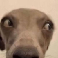 That Nigga (@jakejake1024) 's Twitter Profile