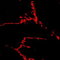 Hund Lab (@hundlab) 's Twitter Profile